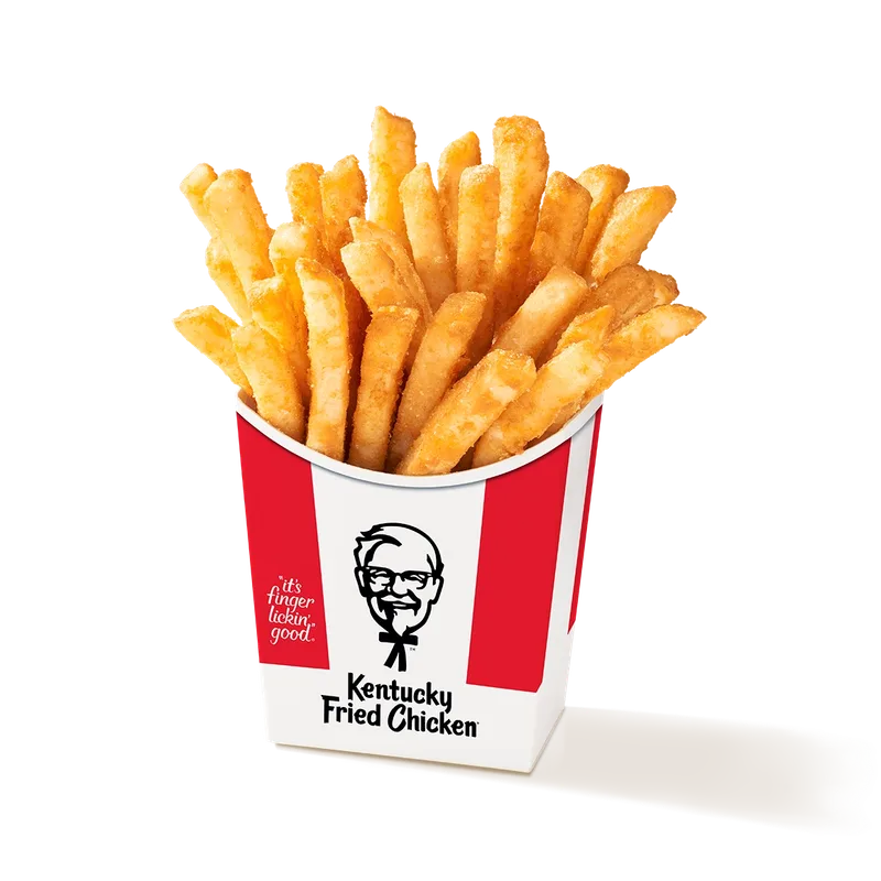 Secret Recipe Fries